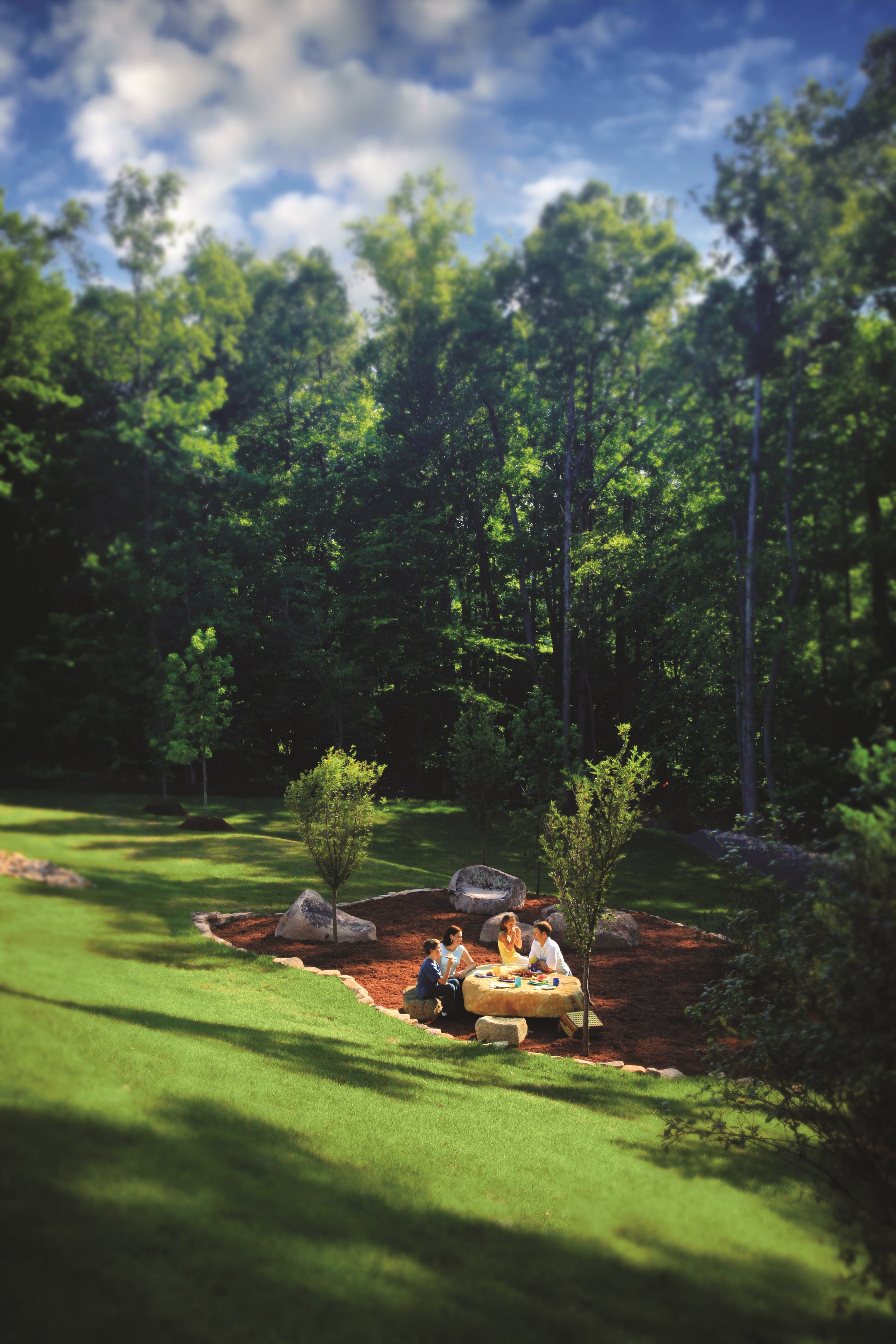 bc_familypicnic_ccd.jpg