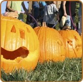 bc_pumpkin_photos.jpg