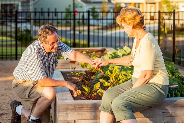 couple gardening