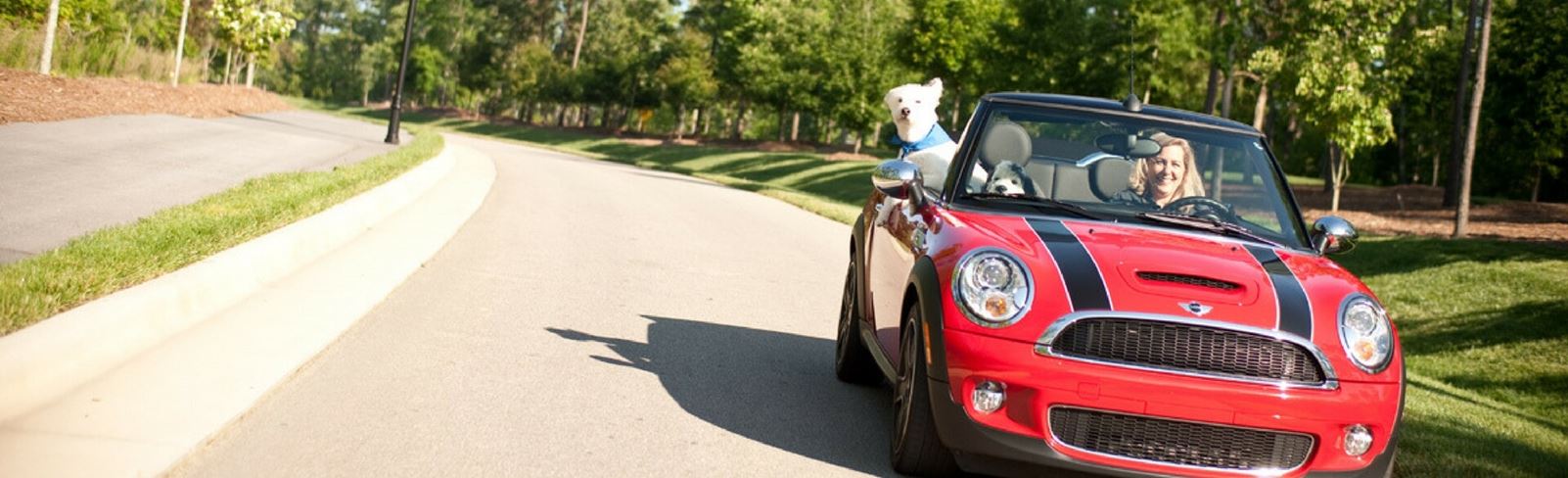 Mini Cooper.jpg