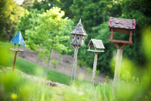 Birdhouses.png