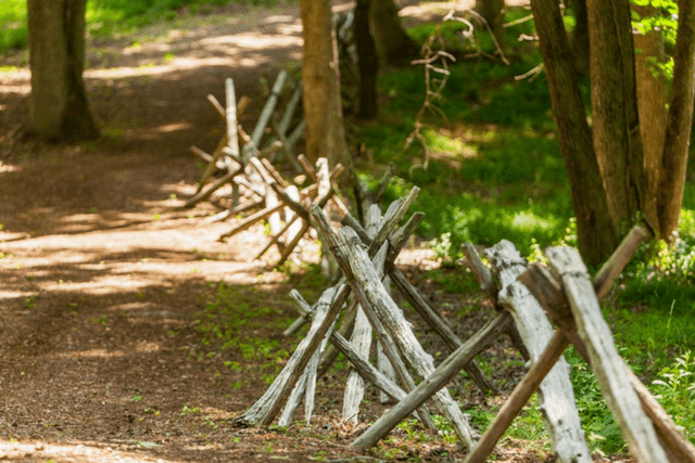 stick fence along trail in Briar Chapel