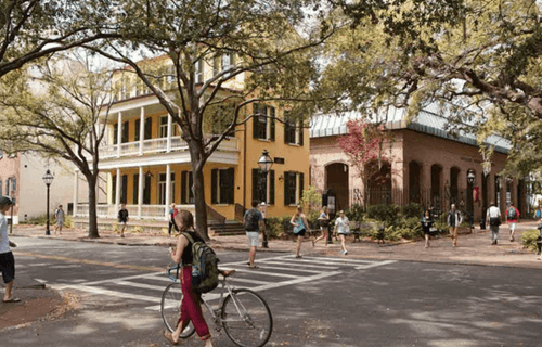 CofC campus pic 1.png