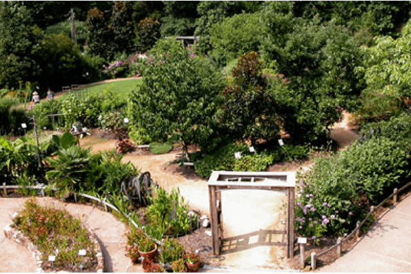 North Carolina Botanical Gardens