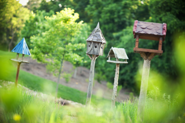 bird houses in Briar Chapel