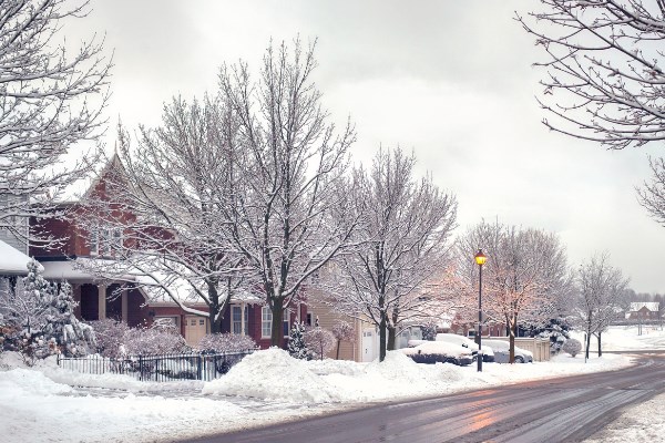 Winter snow scene