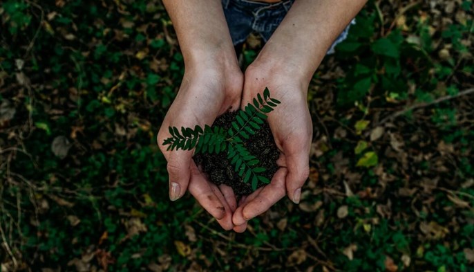 hands holding dirt