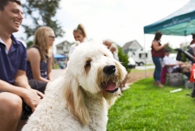 family dog at community event