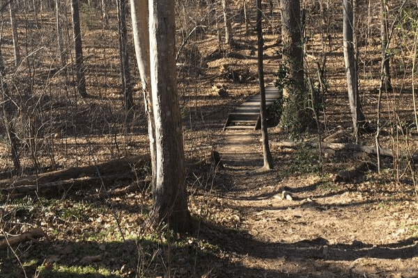 Cedar Falls Park