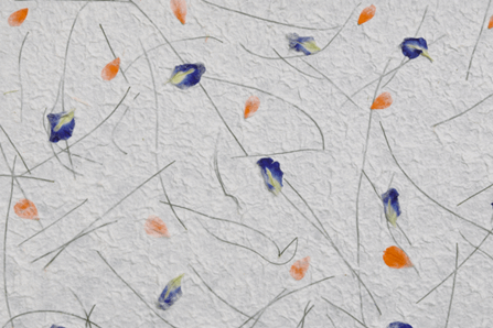 preserved flower petals