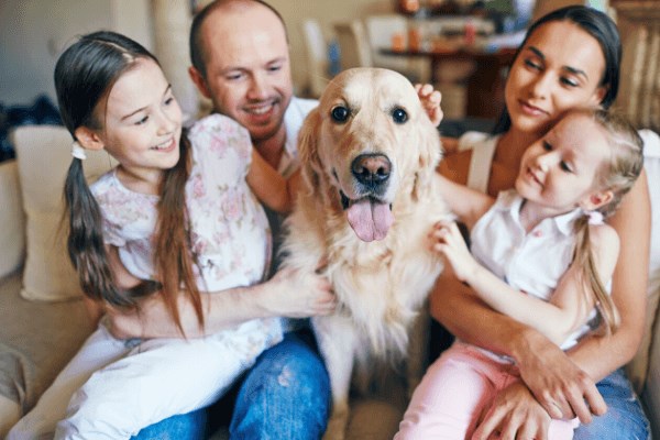 Family, with dog, relaxing on couch