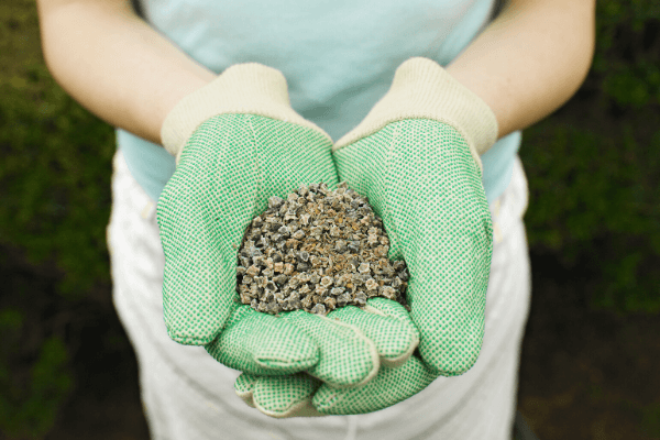 handful of seeds