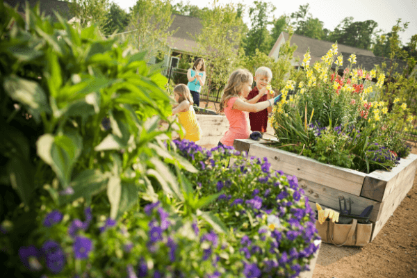 Briar Patch community garden