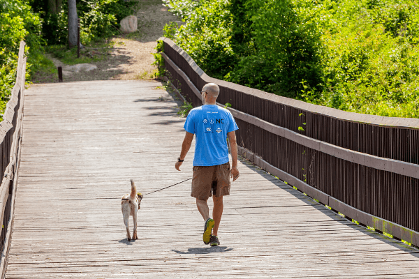 man walking his dog along boardwalk trail