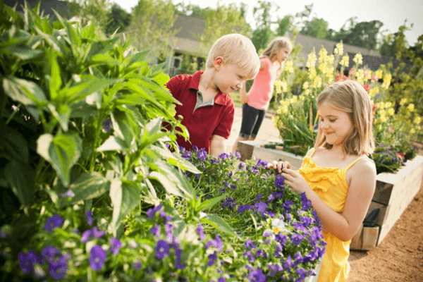 kids at community garden