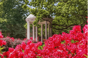 Gazebo and gardens at local university