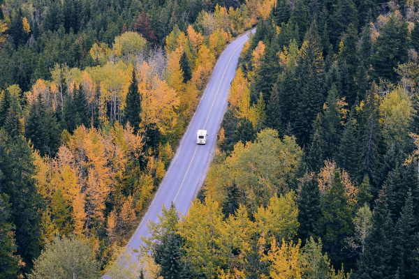 Aerial of back road with fall leaves