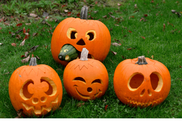 array of carved pumpkins