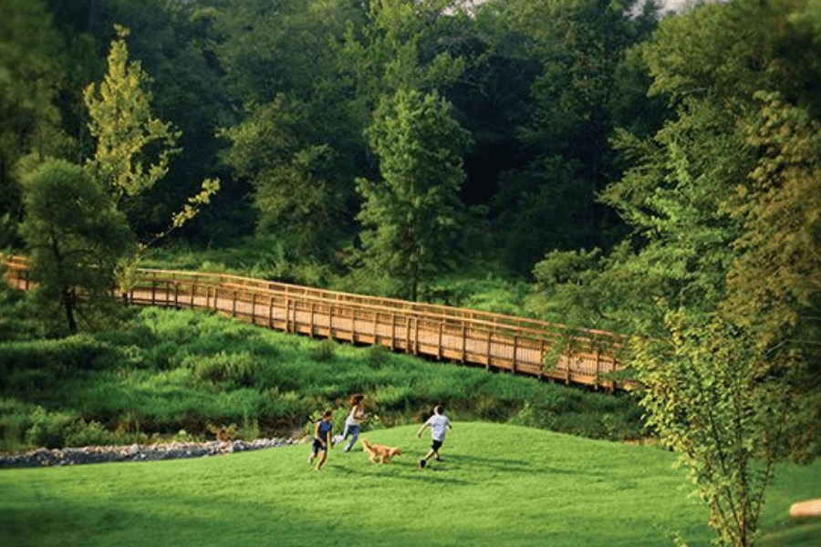 Open green space in Briar Chapel