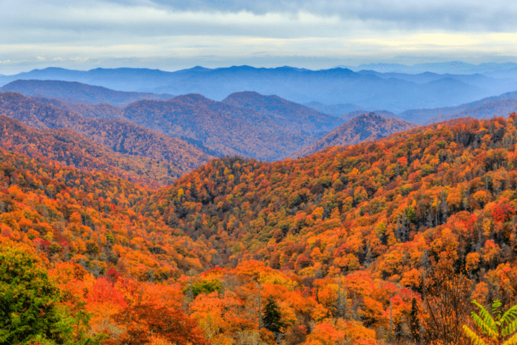 Aerial view of Blue Ridge Mountains at fall leaf color peak