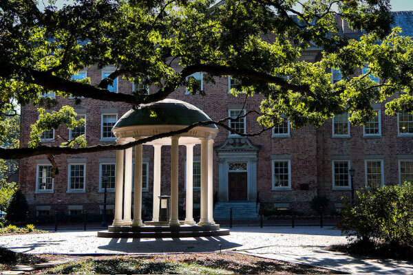 Pergola in courtyard